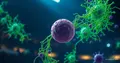 NETosis Mechanism: DNA Nets in Immune Defense | Analysis
