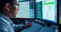 Chinese for IT: courses and career in 2026