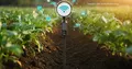 Precise measurement of soil moisture: Technologies and challenges