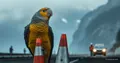 Bird Intelligence: Tests and Neurons