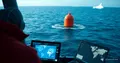Argo buoys and Nero evolution 20 years later